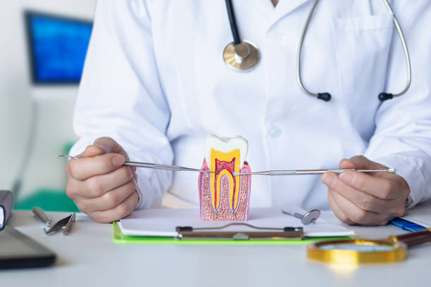 Best Urgent Tooth Repair  in Lamar, SC